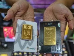 PT Emas Antam Indonesia Buka Lowongan Kerja untuk Lulusan SMA, SMK, D3/S1