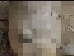 Di NTT Ada Penemuan Potongan Kepala Bayi Manusia Depan Pintu Dapur