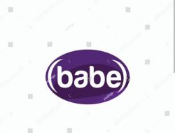 Lowongan Kerja Terbaru di Perusahaan BABE dengan Gaji Max: Rp. 8.500.000