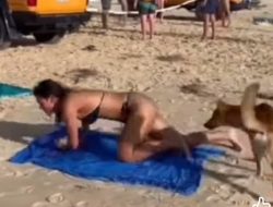 Viral!! Wanita Turis Terserang Anjing Liar Saat Lagi Tidur Santai di Pesisir Pantai