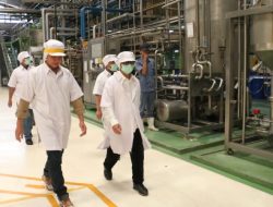 Penjabat Gubernur NTT Ajak PT Great Giant Pineapple untuk Investasi di NTT