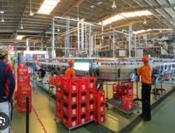 PT Sinar Sosro Buka Lowongan Kerja Terkemuka dengan Batas Usia Sebagai Berikut