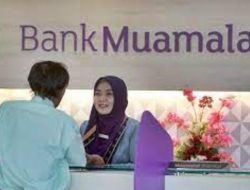 Simak!! Kriteria Pelamar Untuk Lowongan Kerja Bank Muamalat Indonesia Tbk