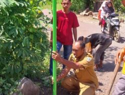 Mahasiswa KKN IKTL Pasang Papan Jalur Evakuasi dan Papan Nama RT di Flores Timur