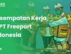 PT Freeport Indonesia, Perusahaan Tambang Mineral Terkemuka Buka Lowongan Kerja