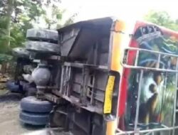Belasan Penumpang Alami Patah Tulang saat Bus Tabrak Pohon di Kupang