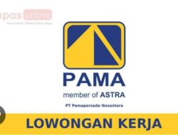 Peluang Bagi Tamatan SMA Sederajat dan D3 Bisa Kerja di PT Pamapersada Nusantara