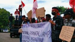 GMNI Flotim: Kematian Ibu Novi Diwarnai Dengan Kecurigaan Informasi Dari Pihak RSUD Dr. Hendrikus Fernandez Larantuka