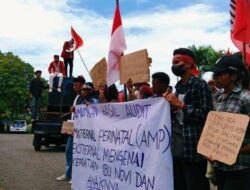 GMNI Flotim: Kematian Ibu Novi Diwarnai Dengan Kecurigaan Informasi Dari Pihak RSUD Dr. Hendrikus Fernandez Larantuka