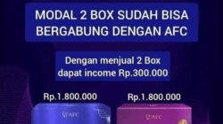 WhatsApp Image 2024-06-01 at 02.54.52