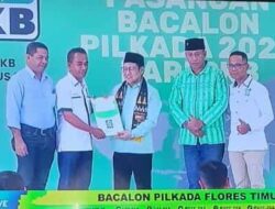 Stephanus Ola Demon dan Rofinus Baga Resmi Terima SK dari Ketum PKB