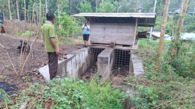 Melki Laka Lena Siap Benahi Irigasi dan Pupuk untuk Persawahan Gising Manggarai Timur