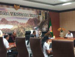 Pj. Gubernur NTT Sebut Wapres Gibran Akan Tinjau Langsung Korban Bencana di Flores Timur