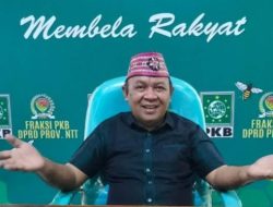 Yohanes Rumat Nilai OJK dan Gubernur NTT soal Seleksi Direksi Bank NTT