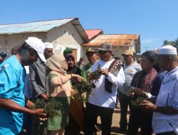 Wagub NTT Tinjau Panen Rumput Laut di Sulamu