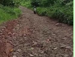 Warga Wotan Ulumado Minta Pemkab Flores Timur Perbaiki Jalan Rusak