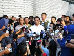 BULOG Cetak Sejarah! Stok Beras Nasional Tembus 5 Juta Ton, NTT Perkuat Penyerapan Gabah Petani