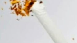 Mulai Bisik-Bisik “Jatah” di Balik Asap Rokok Ilegal