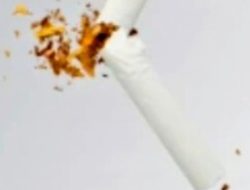 Mulai Bisik-Bisik “Jatah” di Balik Asap Rokok Ilegal