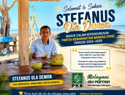 Stefanus Ola Demon Dipercaya Masuk Jajaran Pengurus DPC PKB Flores Timur