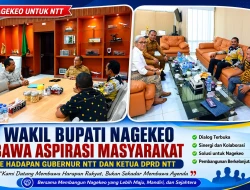 Wakil Bupati Nagekeo Bawa Harapan Masyarakat ke Meja Gubernur NTT dan Ketua DPRD NTT